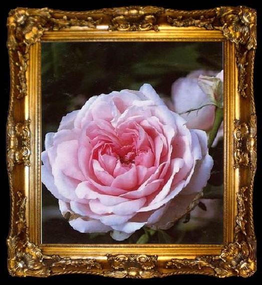 framed  unknow artist Still life floral, all kinds of reality flowers oil painting  358, ta009-2